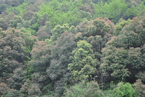 p 044.jpg