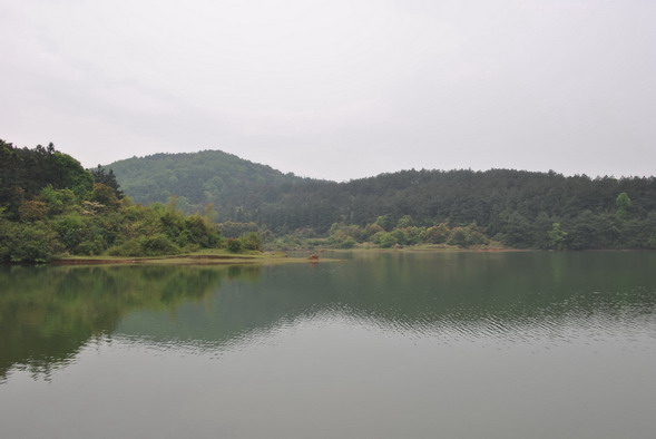 p 051.jpg