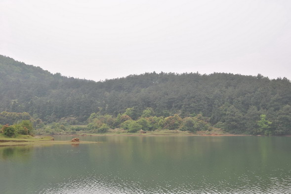p 052.jpg