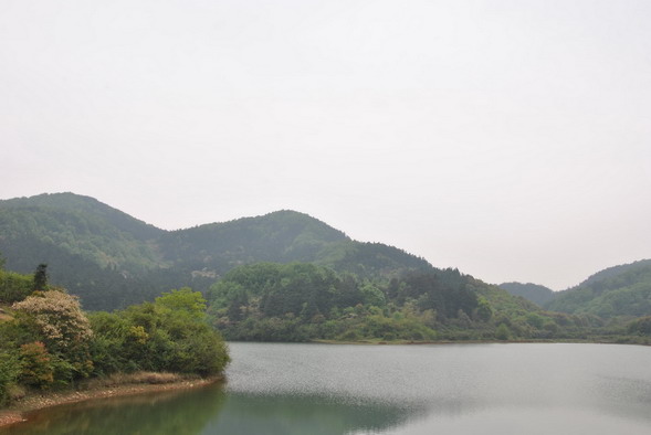 p 063.jpg