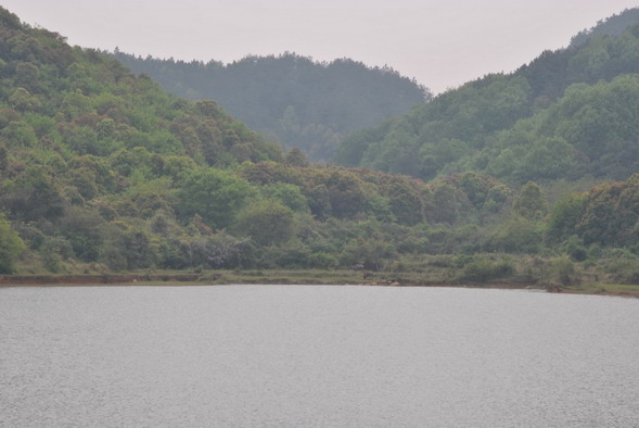 p 066.jpg