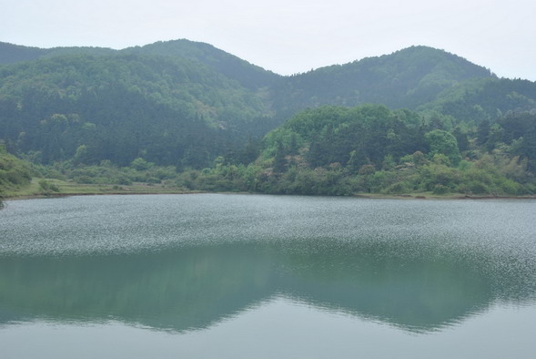 p 065.jpg