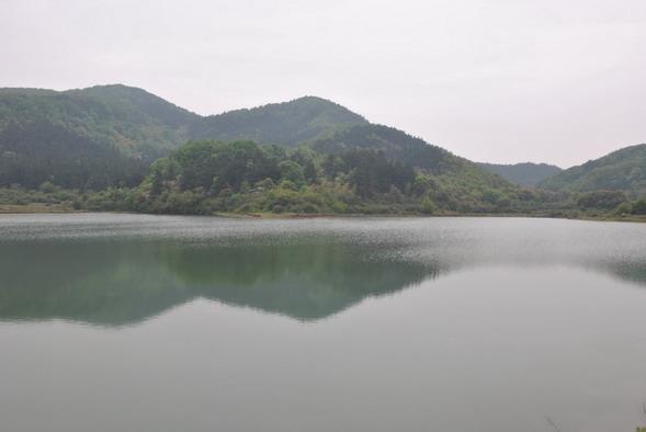 p 068.jpg