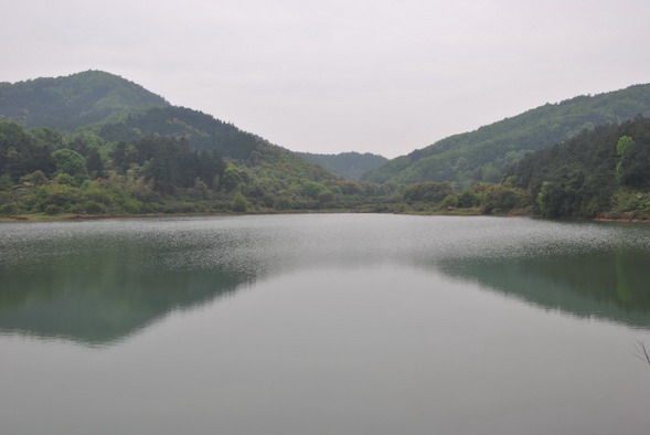 p 069.jpg