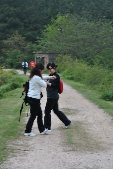 p 071.jpg