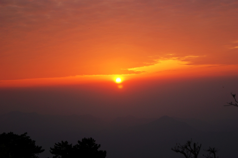 dsc00888_Ӱ_1.jpg