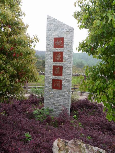 С ת sdc10229.jpg