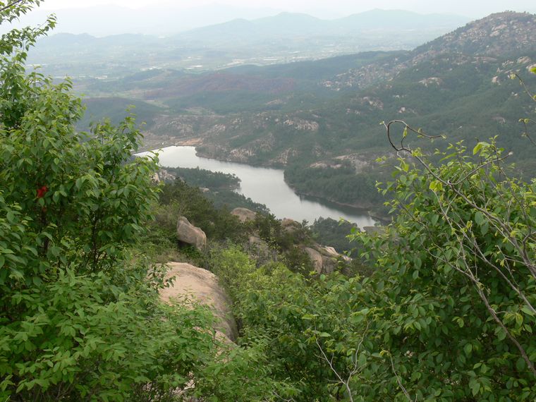 p1100079.jpg