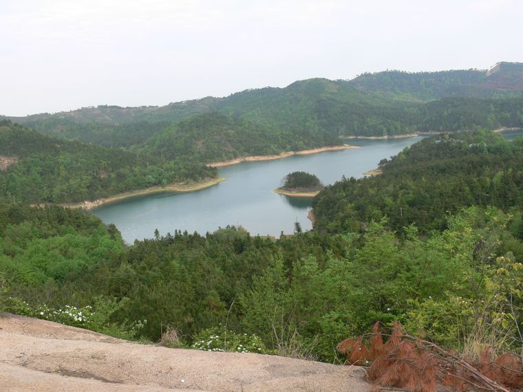 p1100092.jpg