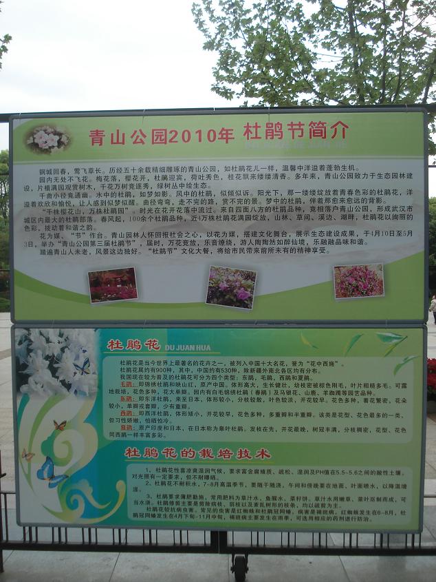 dsc08425.jpg