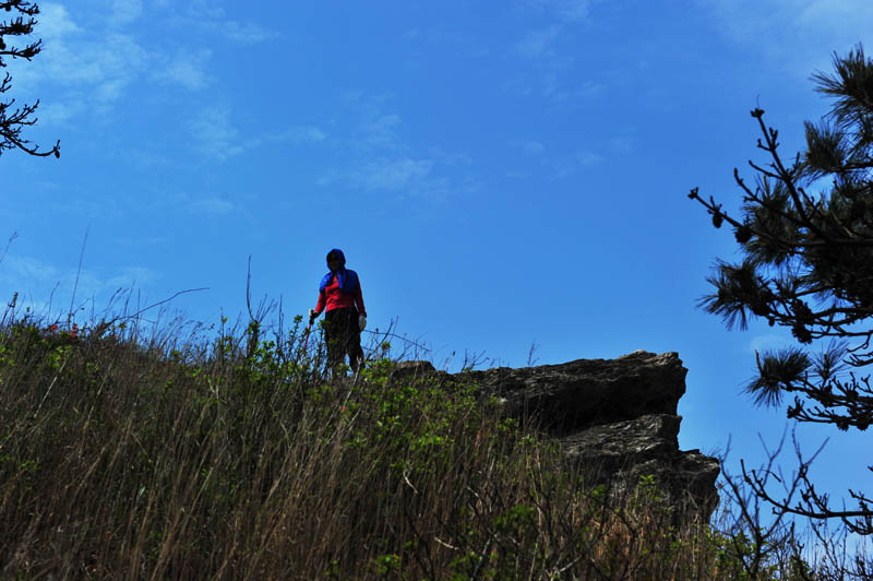 dsc_1201a.jpg