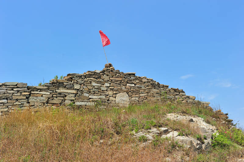 dsc_1233a.jpg