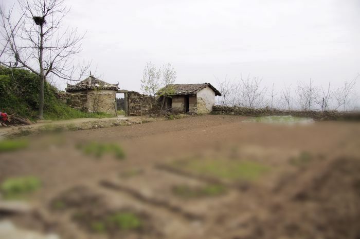 20120424ɽƬ 119_neo_img.jpg