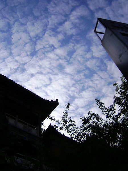 dsc07091-1.jpg