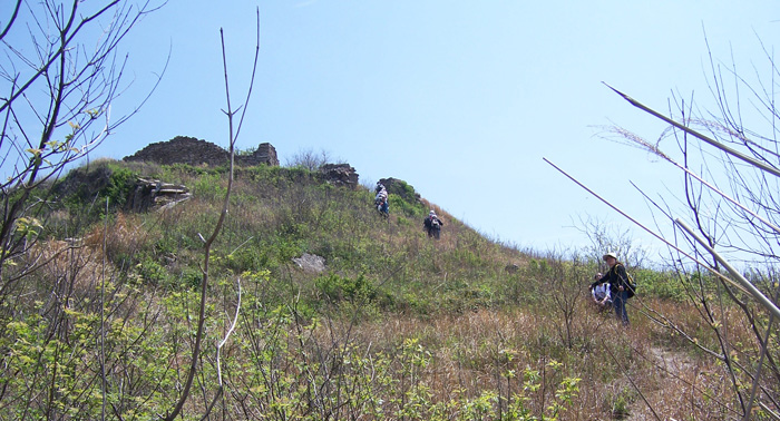 20100424⴩Խ 095.jpg