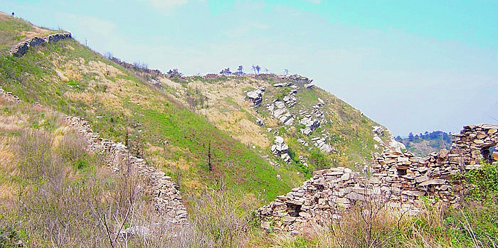20100424⴩Խ 099_.jpg