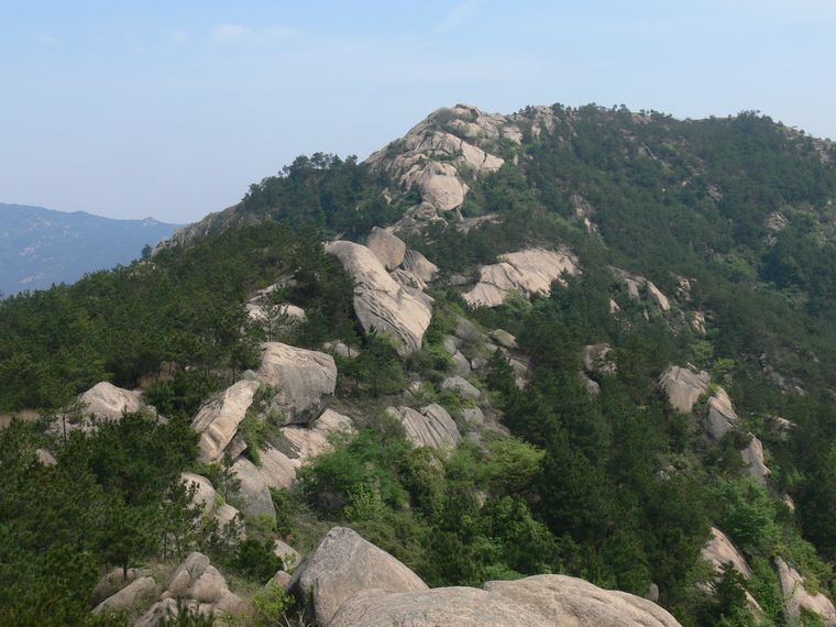 p1100005.jpg