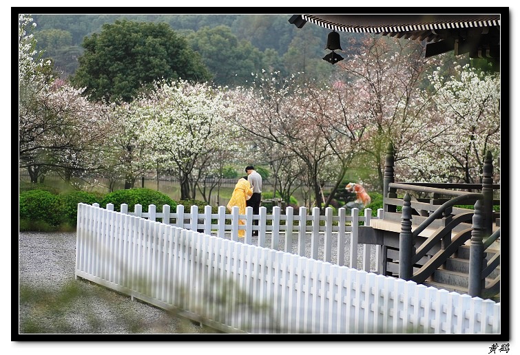 ӣ֮053.jpg