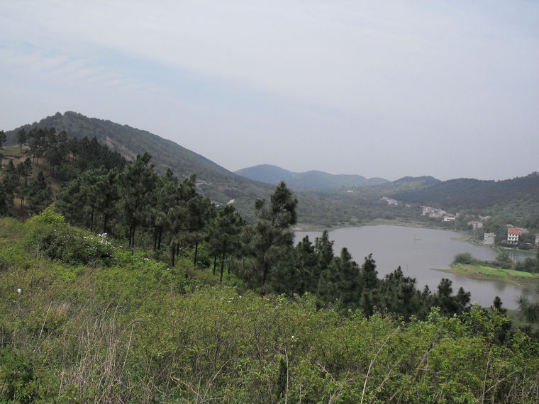 neo_img_sdc16174.jpg