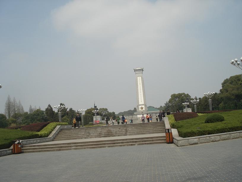 17452479.jpg