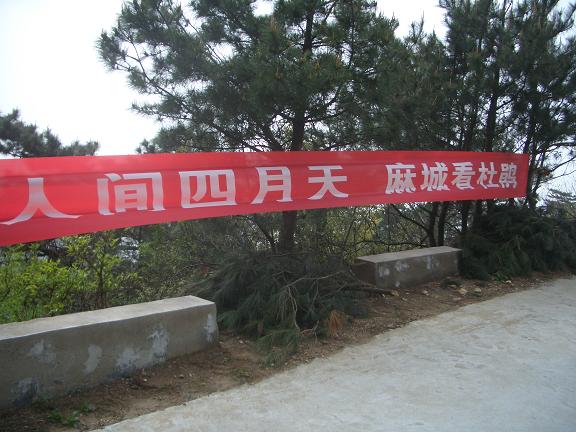 cimg9031.jpg