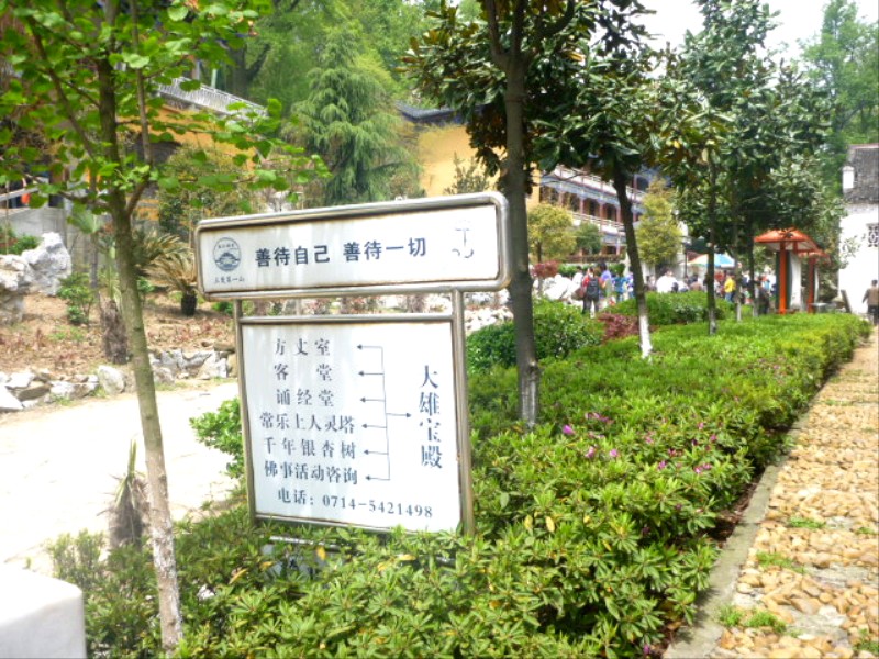 p1000370_.jpg