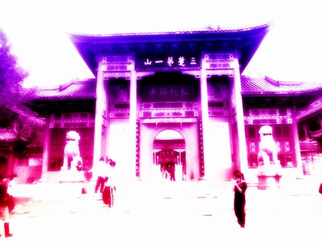 p1000356_.jpg