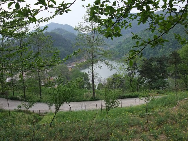 dscf3242.jpg
