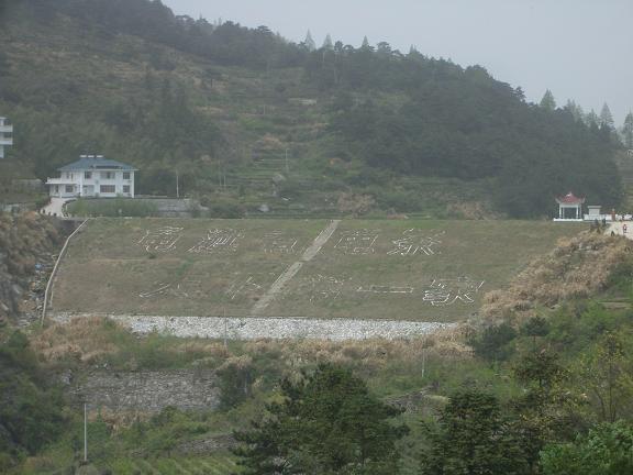 cimg8950.jpg
