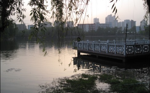 06.jpg