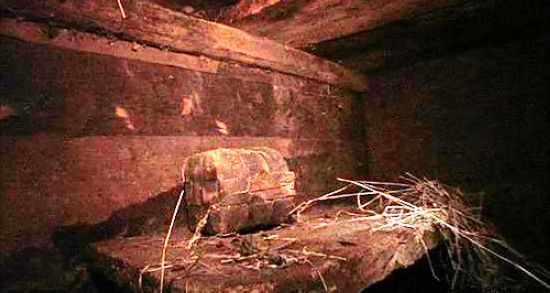 16703247_201004291446076sna8-ŲǷ-4.jpg