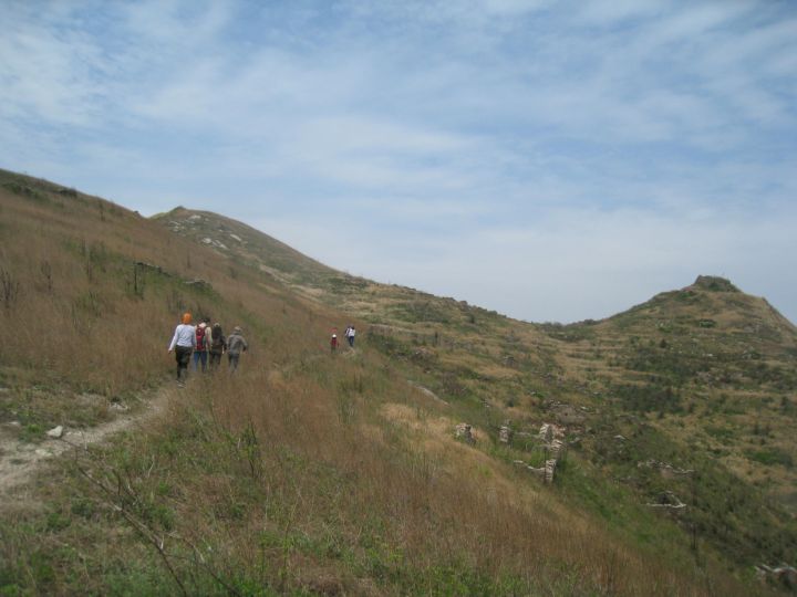 Ƭ 079.jpg