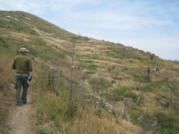 Ƭ 080.jpg