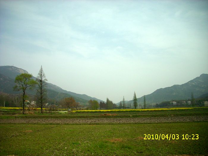 img_0081.jpg