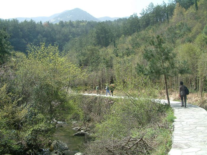dscf0063.jpg