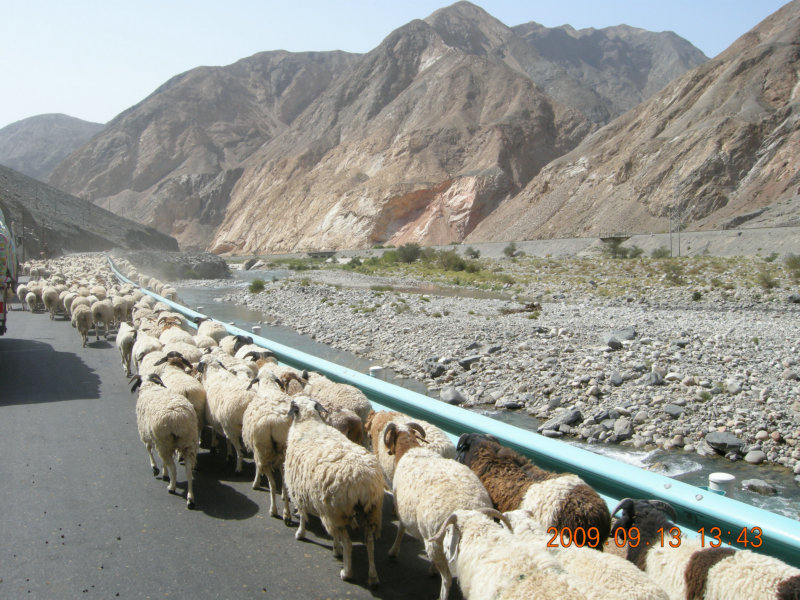 dscn3148.jpg