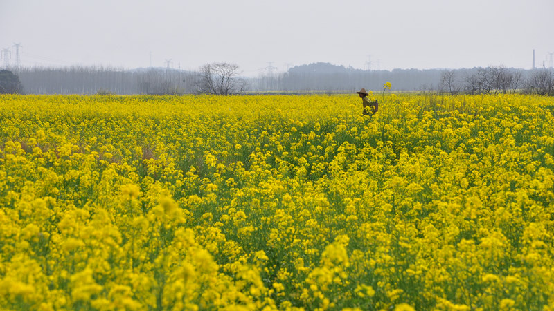 a-dsc_2088.jpg