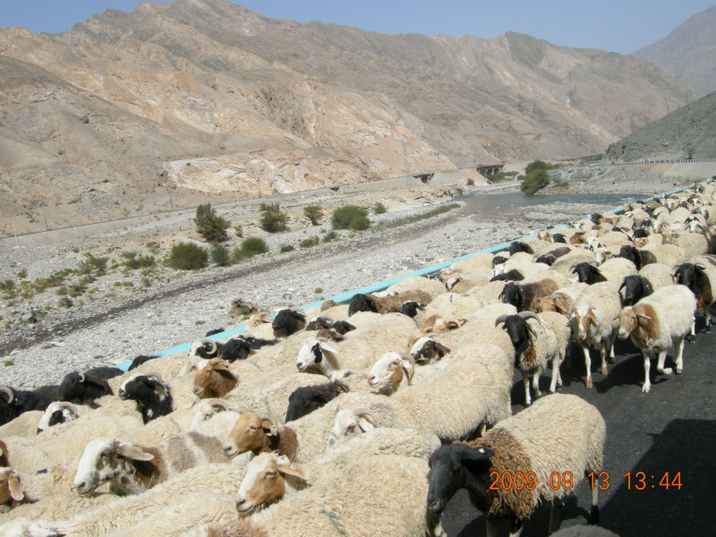 dscn3154.jpg