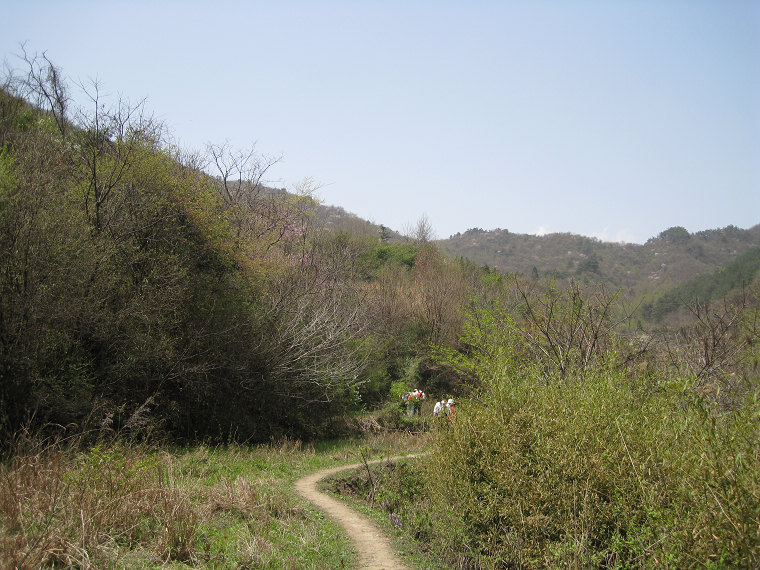 img_0147.jpg