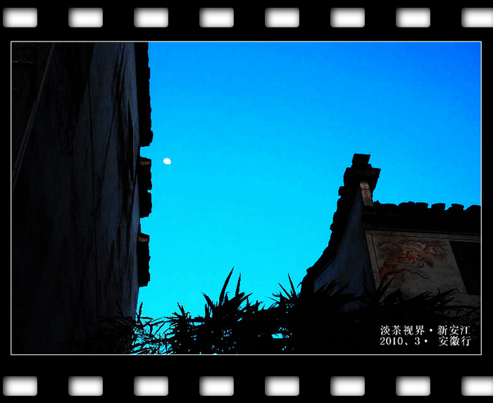dsc_0906_Ӱ_1.jpg