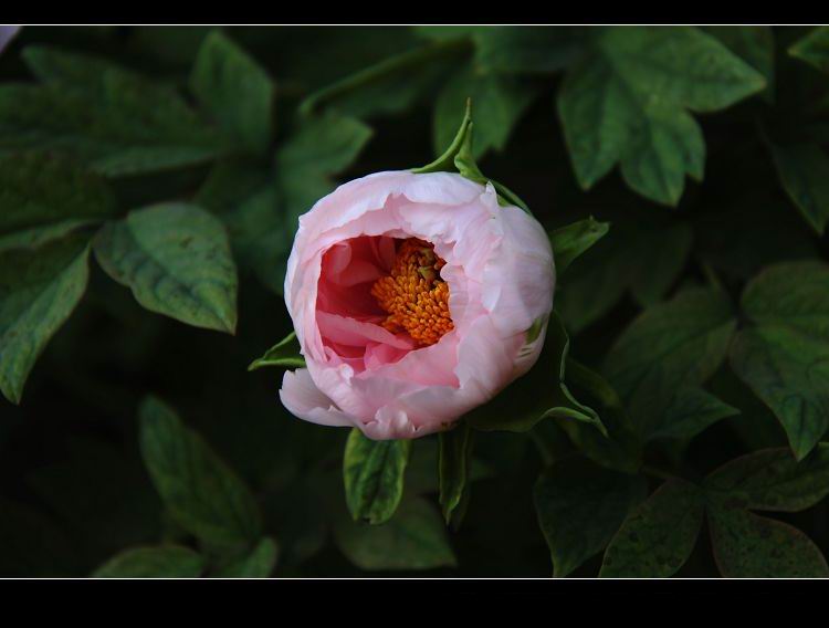 img_2512.jpg