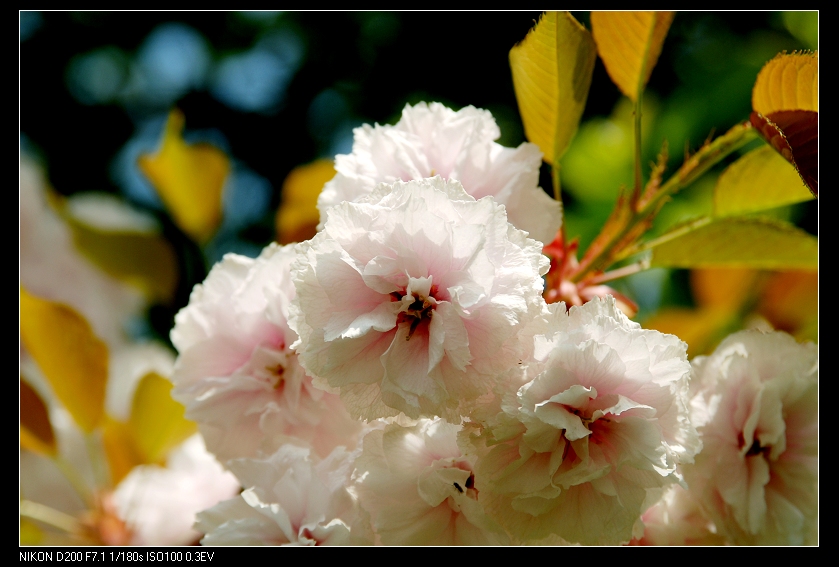 dsc_0023.jpg