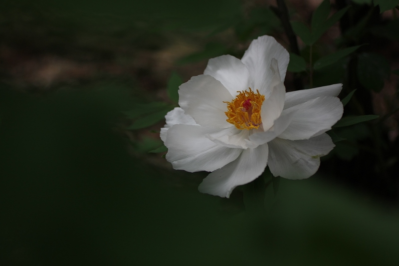 2img_4353.jpg