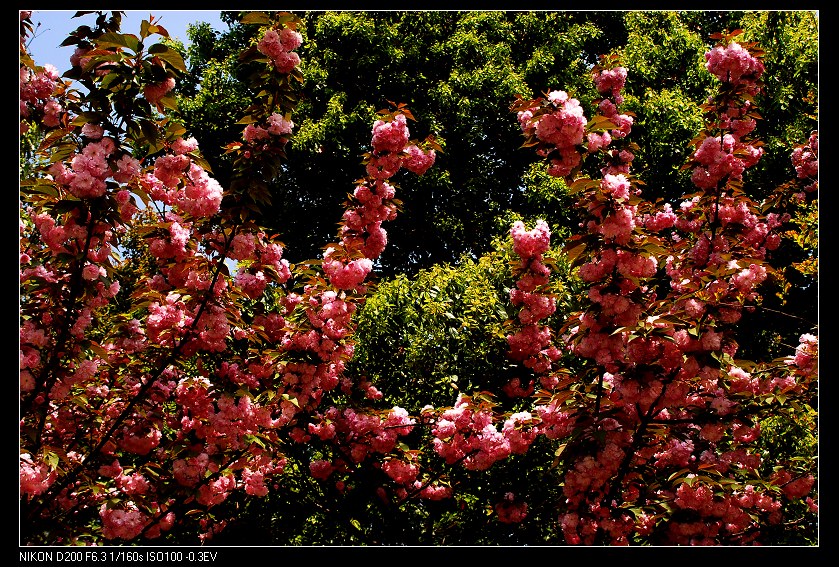 dsc_0315.jpg