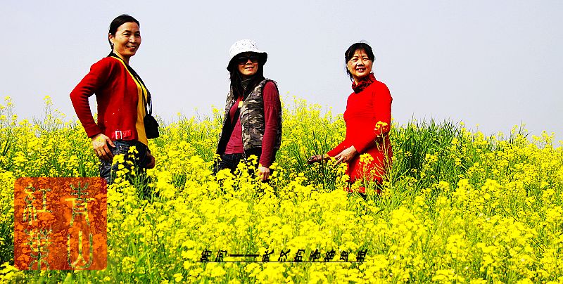 neo_img_ӡ9У20100404 022.jpg