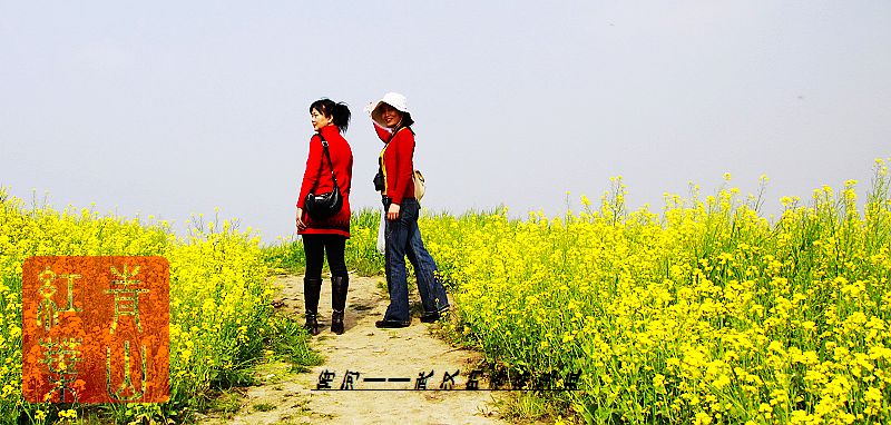 neo_img_ӡ9У20100404 016.jpg