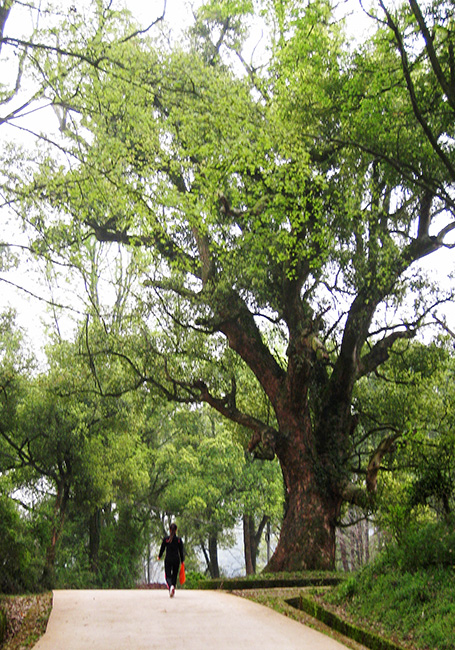 ja 042-2.jpg