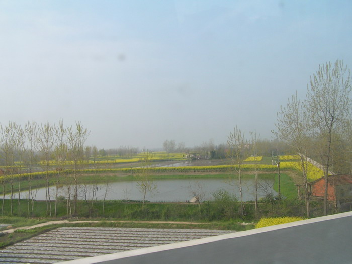 pict0006_С.jpg