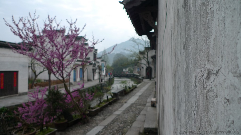 p1020675.jpg