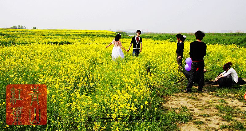 neo_img_ӡ9У20100404 017.jpg